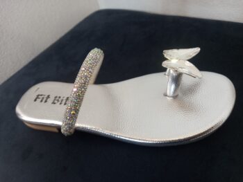 20260213_094408.jpg Silver Flats (Copy)